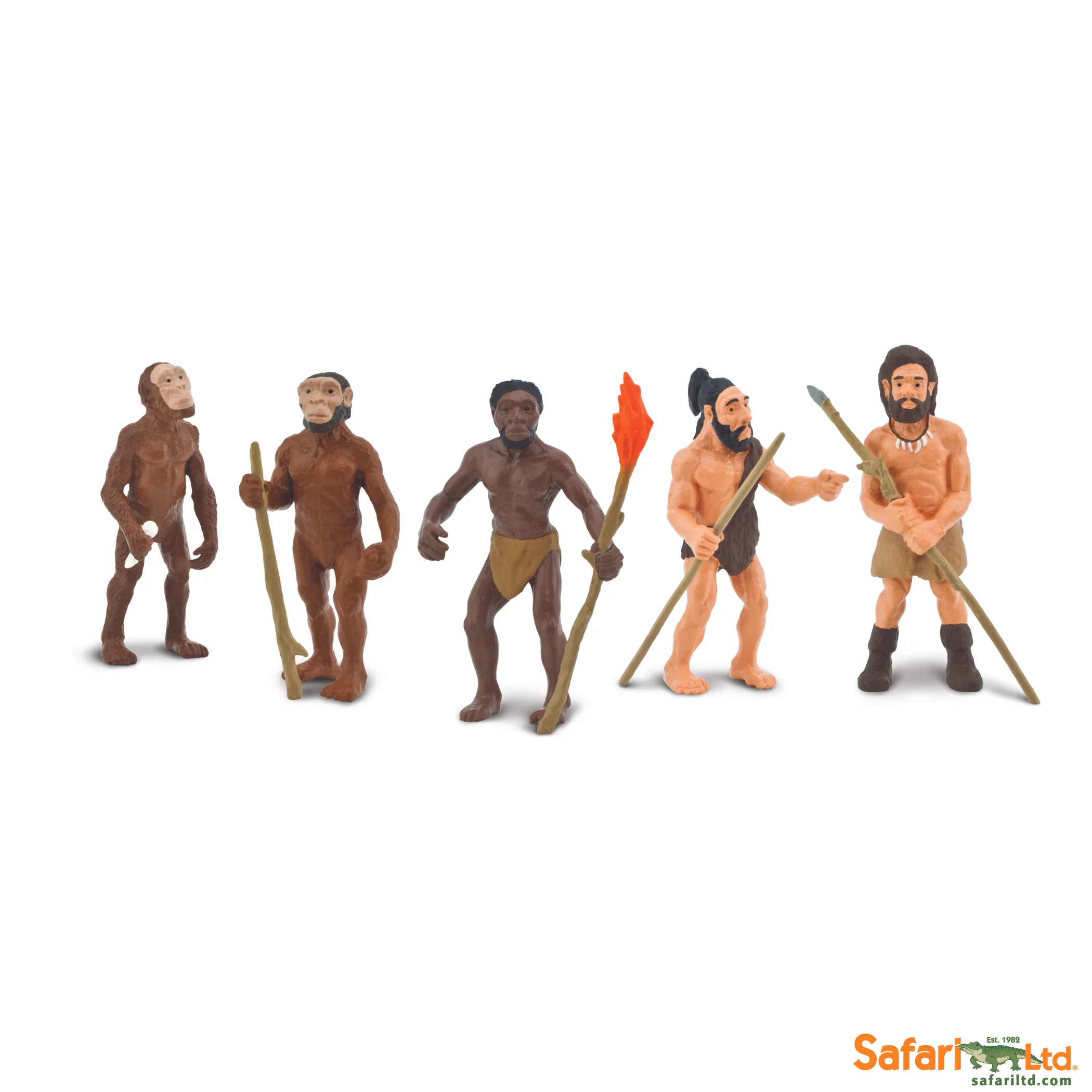 663816+Evolution+of+Man_1.jpg?